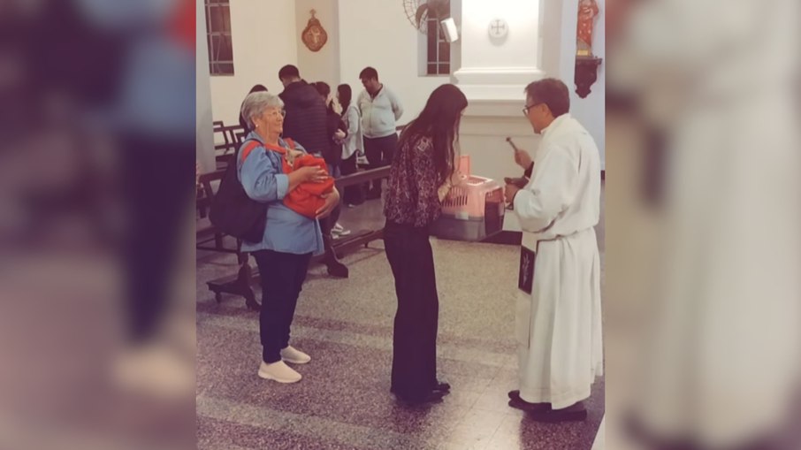 Fiéis levam gatos à igreja para bênção no Dia Internacional do Gato Fiéis levam gatos à igreja para bênção no Dia Internacional do Gato