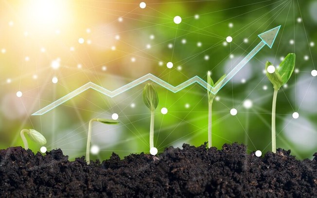 FGV-Ibre: PIB do agronegócio deve chegar a 8% em 2023