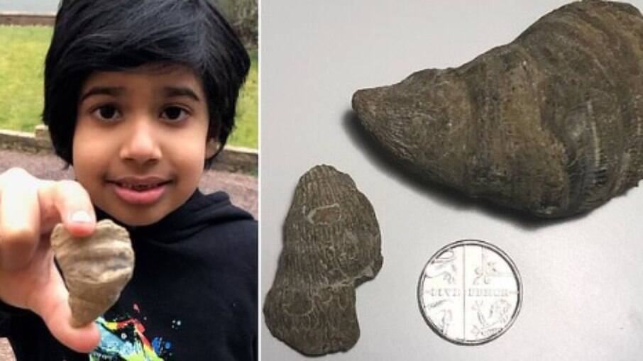 Siddak Singh Jhamat, um garoto de seis anos morador na cidade de Walsall, no Reino Unido, encontrou um fóssil que pode ter 488 milhões de anos de idade