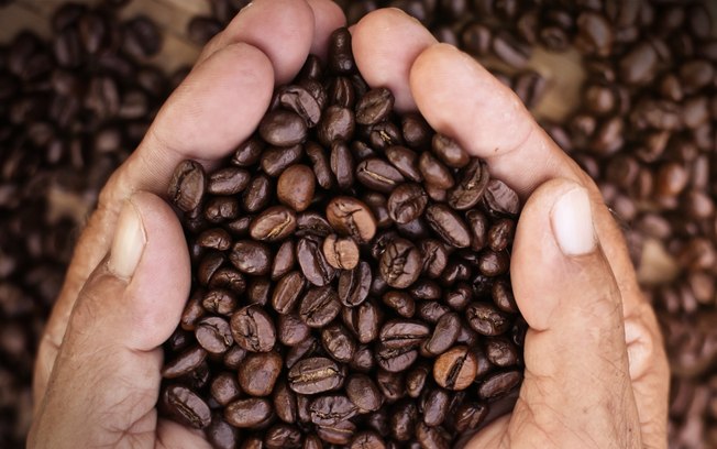 Como o café pode contribuir para a mudança climática