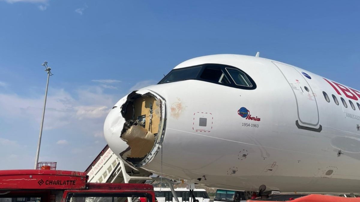 Um acidente com ave faz avião retornar Um acidente com ave faz avião retornar