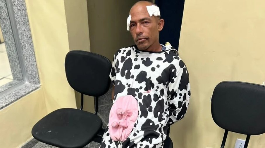 Homem vestido com fantasia de vaca foi preso no Rio 