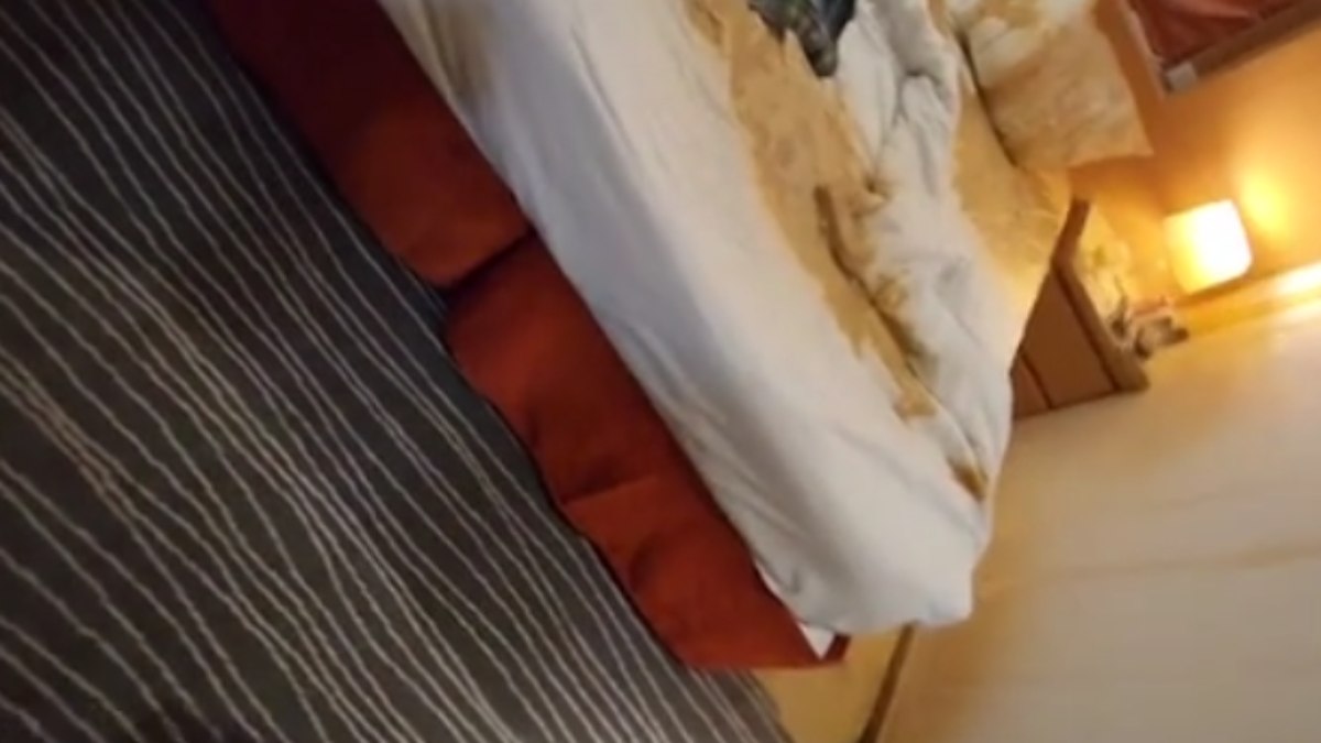 Turistas ficam presos em cruzeiro após tsunami