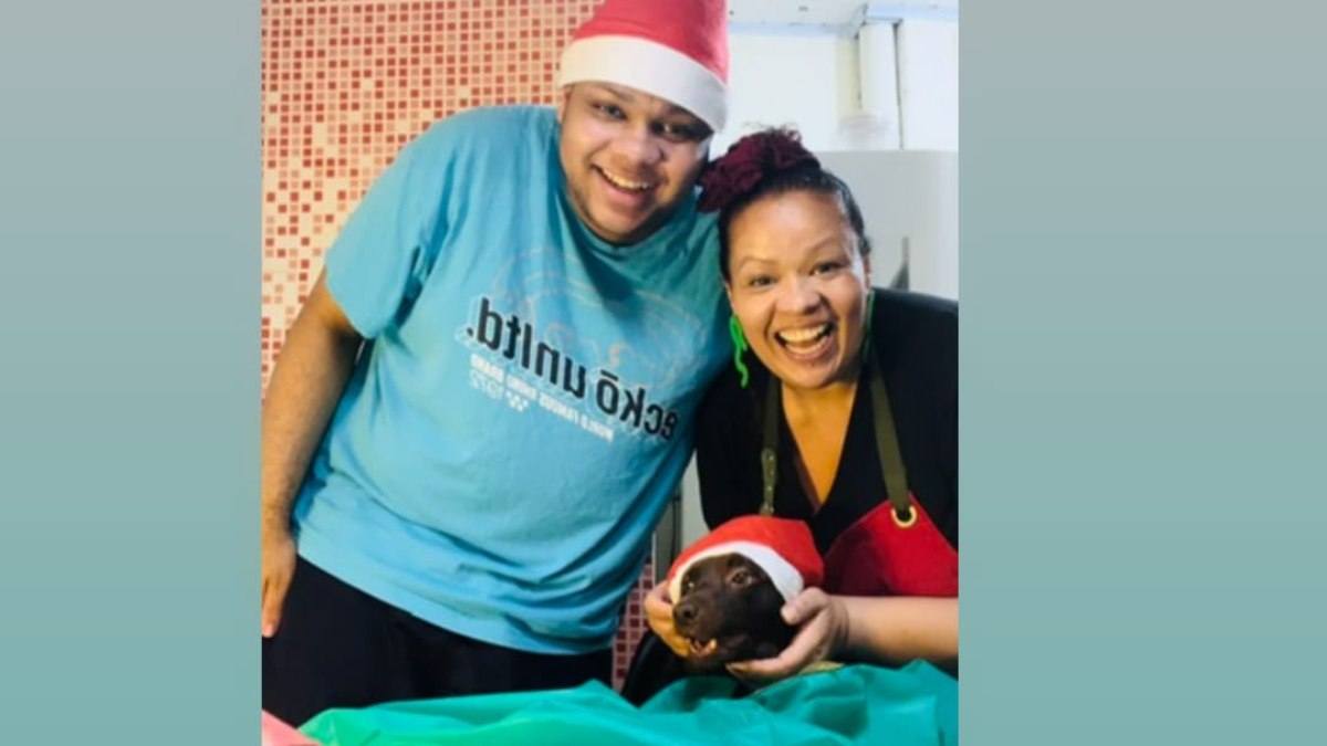 nutri favela nutri favela