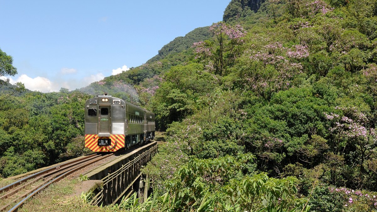 O trem percorre um trecho da Mata Atlântica