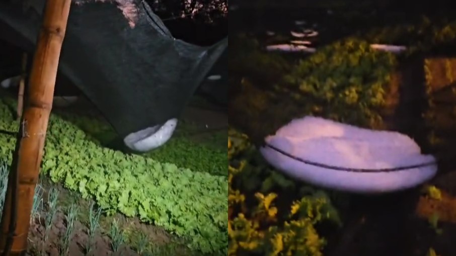 Granizo causa estragos em estufa no distrito de São João de Itaguaçu