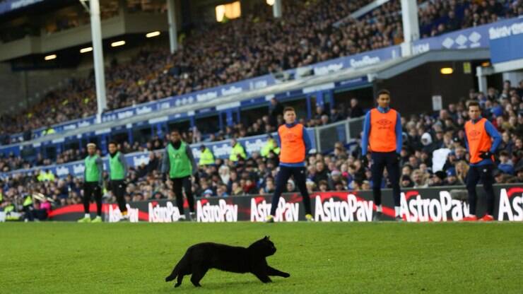 Em jogo do Barcelona, gato preto rouba a cena e invade o gramado - Esporte  - Extra Online