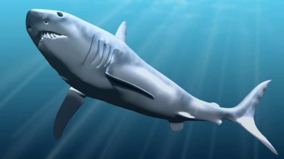 Arte de Megalodonte Arte de Megalodonte
