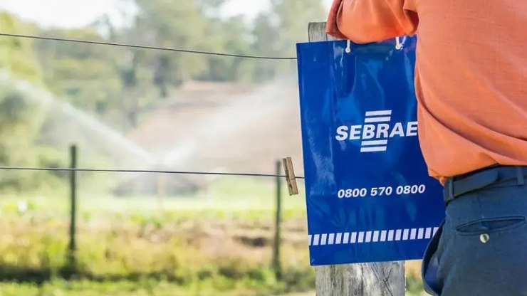 Sebrae abre inscrições para programa gratuito de inovação rural