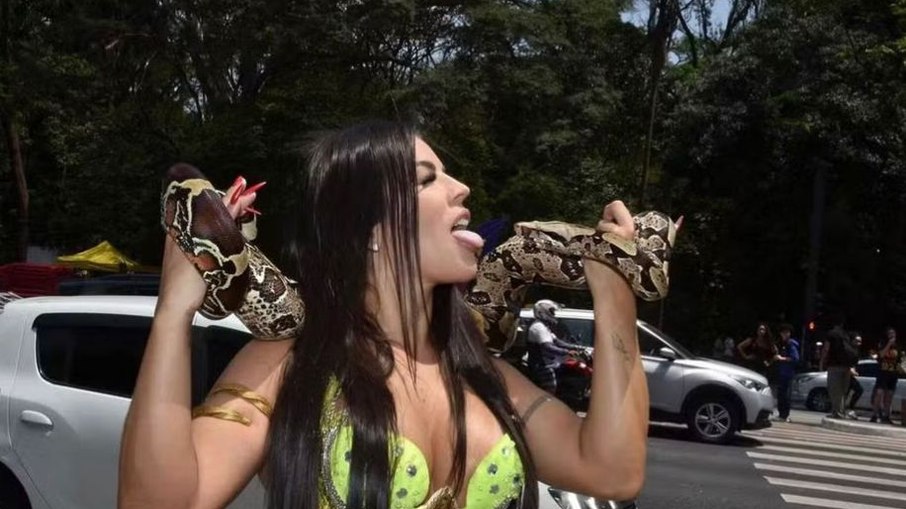 Miss Bumbum e a cobra Miss Bumbum e a cobra