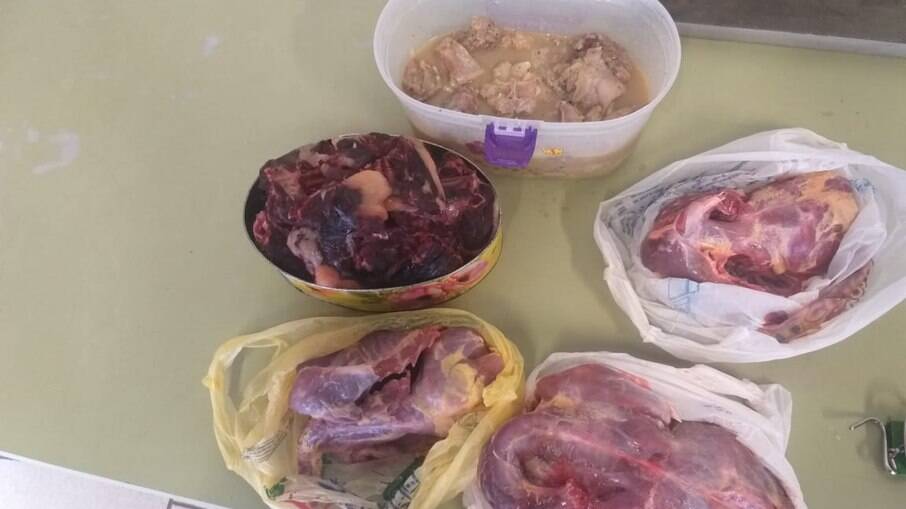 Carne apreendida na caça de caçador em Ibirá Carne apreendida na caça de caçador em Ibirá