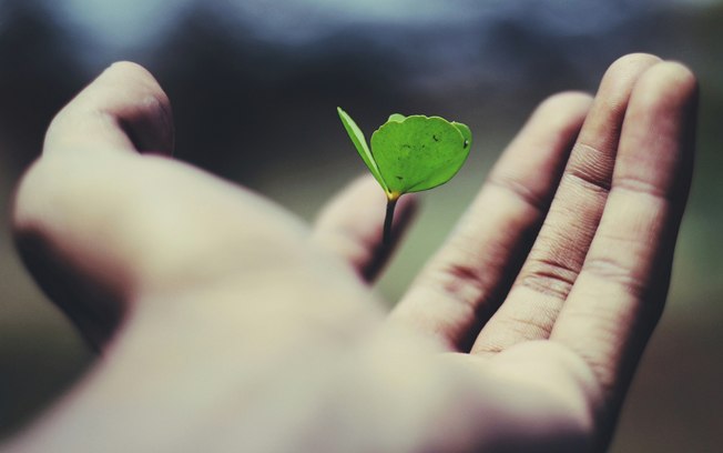Solera recebe prêmio por tecnologia climática no reparo
