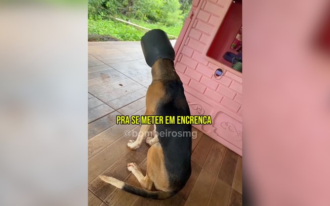 5ykewo489ag9p220ygfnpik3s