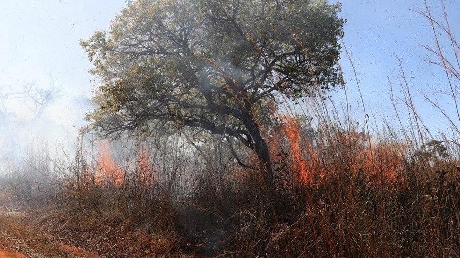 Incêndios em áreas de mata agravam problemas respiratórios