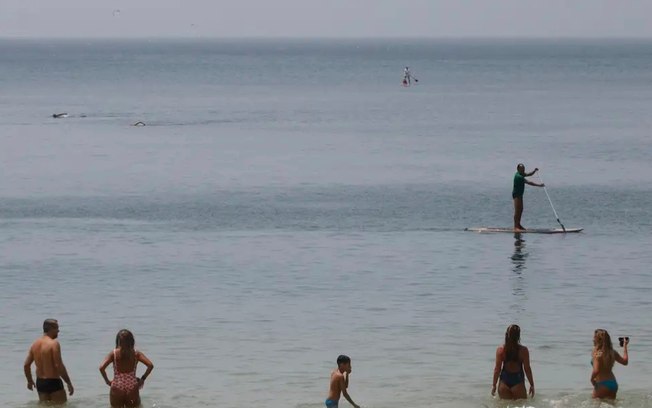 Bombeiros resgatam 70 praticantes de stand up paddle em praia do RJ