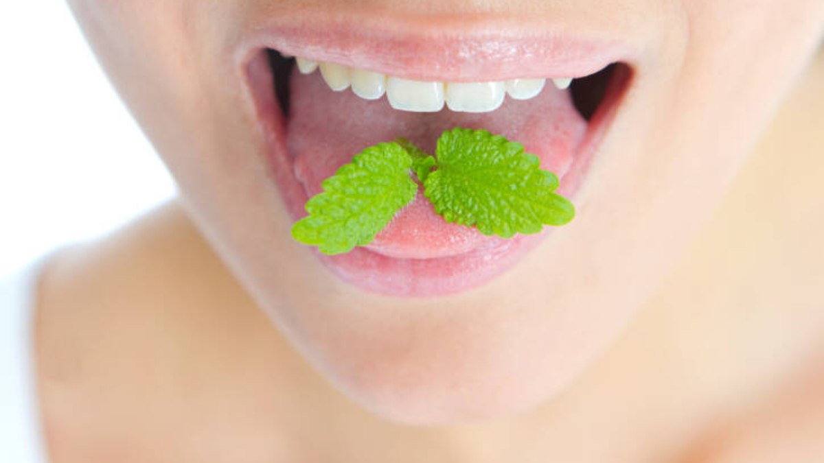Hálito fresco: alguns alimentos e bebidas ajudam a evitar maus odores na boca