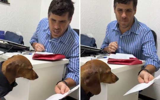 Salsicha faz cara de poucos amigos durante consulta