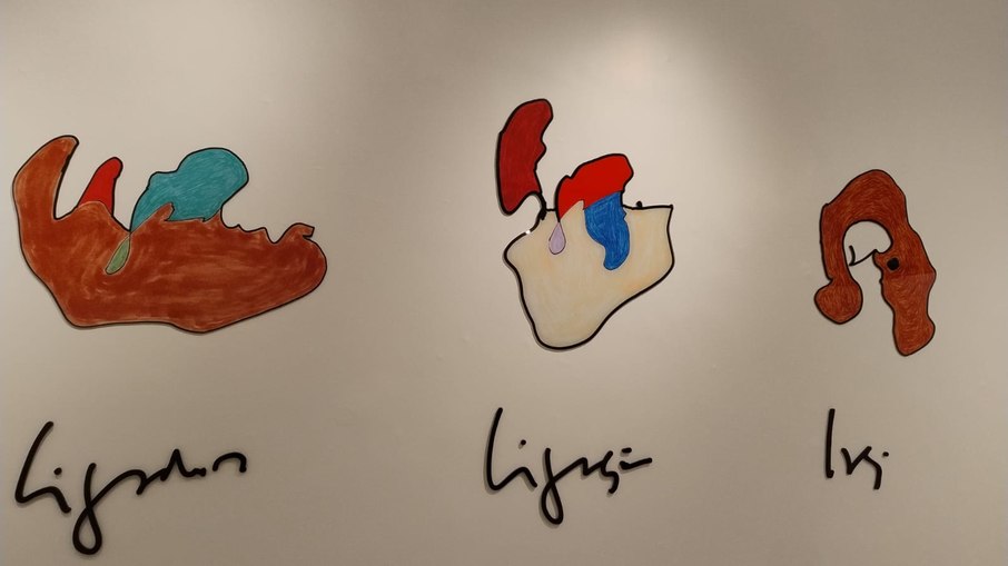 A visualiade domina a exposição Sinalética