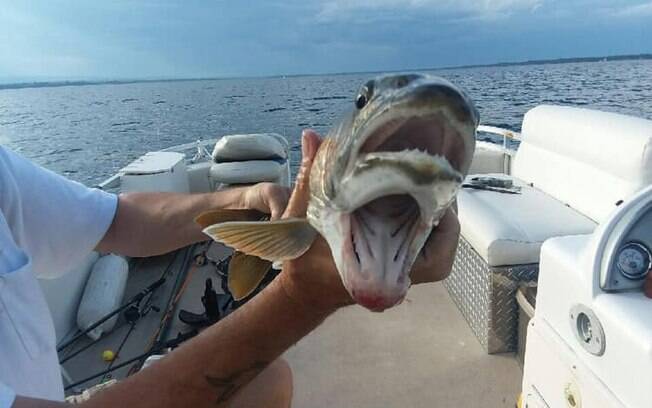 Peixe com duas bocas foi pescado em lago nos Estados Unidos