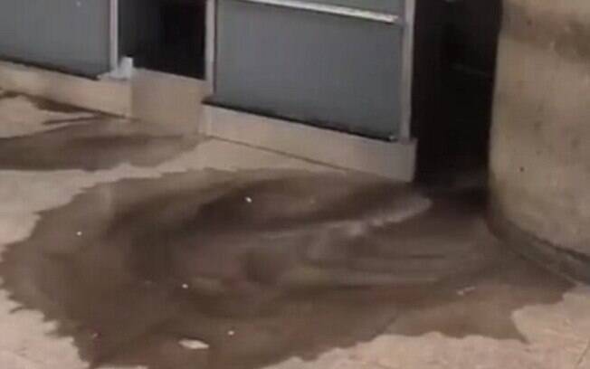 Nas imagens divulgadas na internet, funcionários correm do local, enquanto o vazamento começa a inundar o piso 