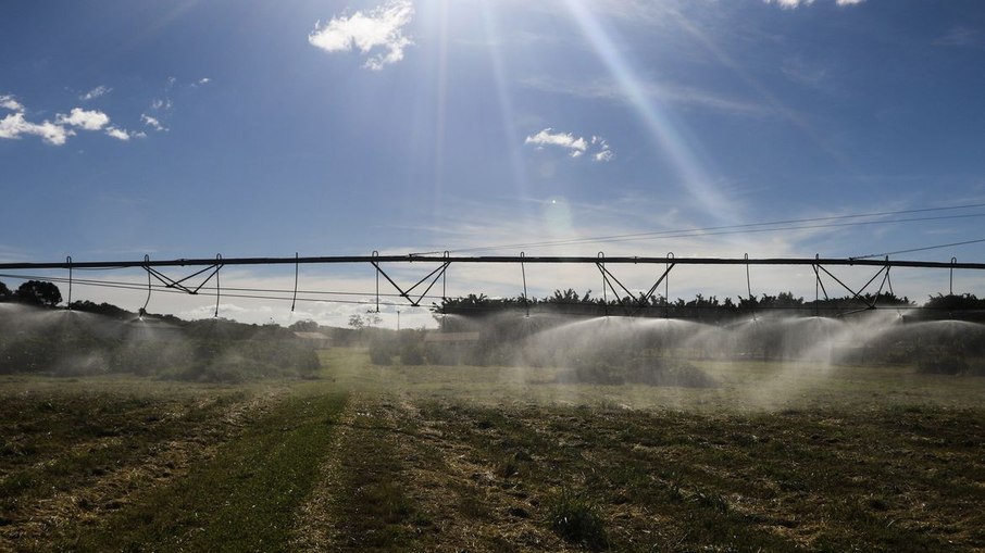 Produtos agropecuários terão volumes máximos definidos para entrarem na União Europeia