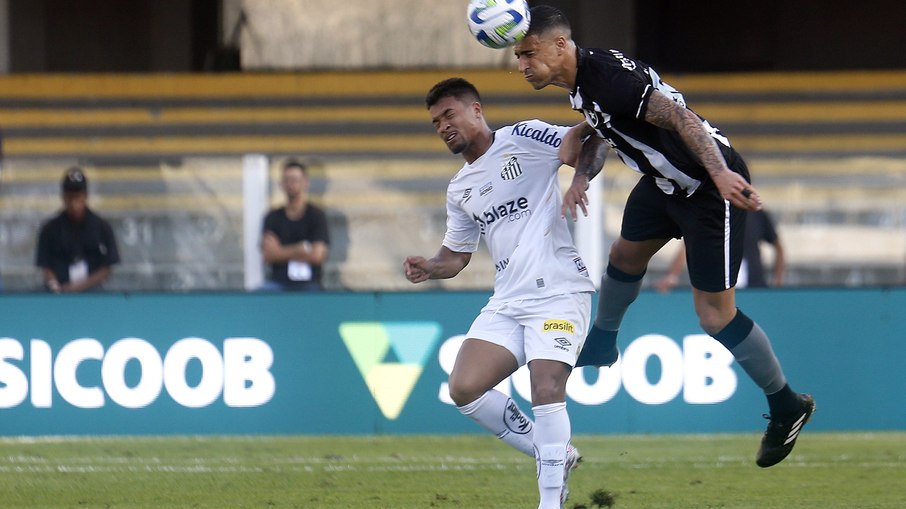Botafogo e Santos se enfrentam neste domingo, pelo Brasileirão