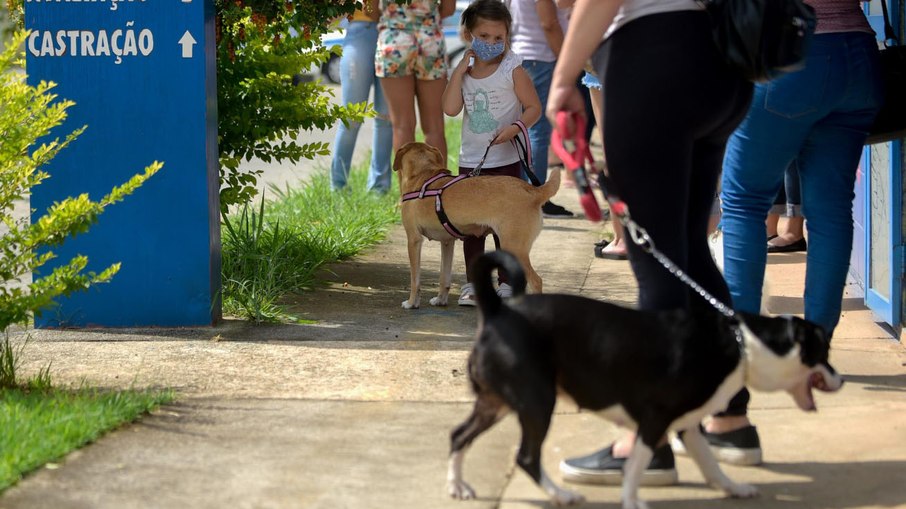 Das 1.060 vagas oferecidas neste mês, 793 já foram preenchidas. Das 1.060 vagas oferecidas neste mês, 793 já foram preenchidas.