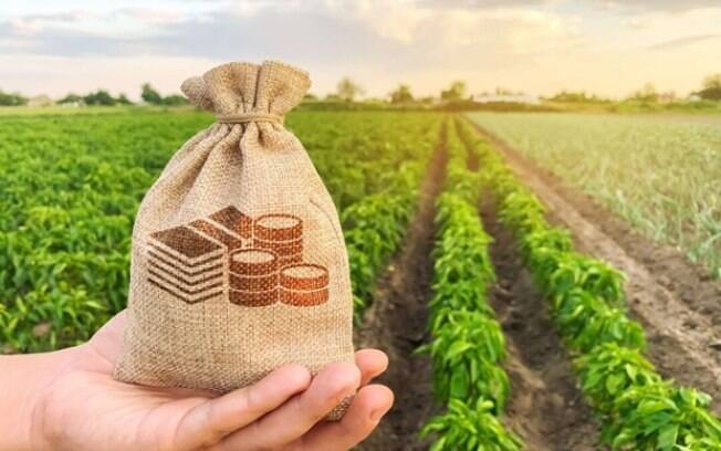 Agropecuária ganha espaço nas redes sociais com estratégias do setor empresarial