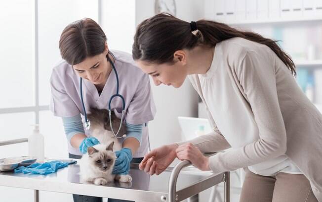 A medicina veterinária é importante tanto para os animais quanto para os homens
