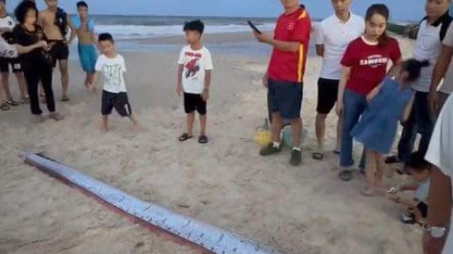 Peixe-remo apareceu em praia do Vietnã e gerou interesse da população local