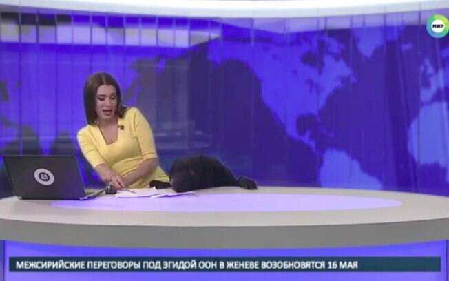 Apresentadora de telejornal russo se assusta após estúdio ser invadido por cachorro e só percebe quando ele sobe na bancada