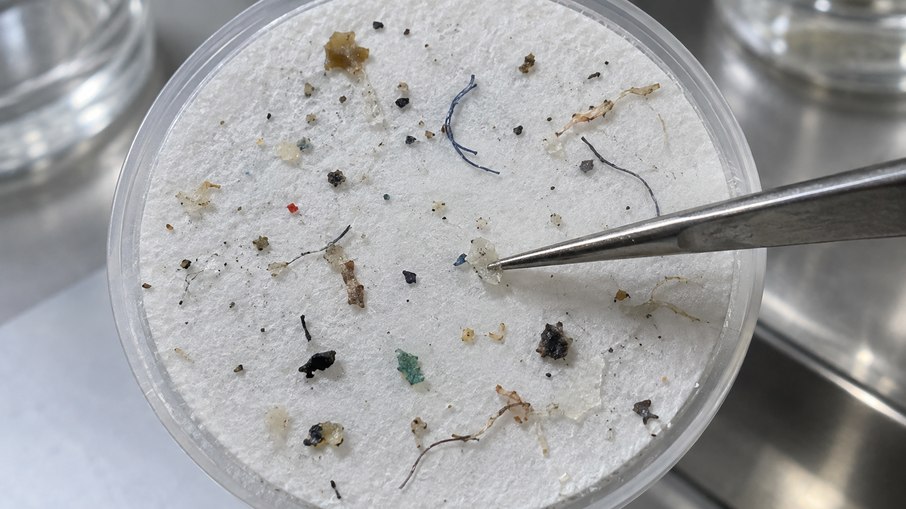 Microplásticos no sistema reprodutivo: cientistas encontraram material tóxico no sêmen, fluido folicular, placenta, líquido amniótico, cordão umbilical, sangue materno e mecônio Microplásticos no sistema reprodutivo: cientistas encontraram material tóxico no sêmen, fluido folicular, placenta, líquido amniótico, cordão umbilical, sangue materno e mecônio