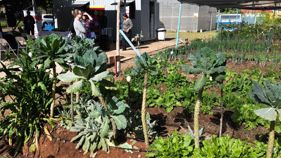 Só em 2024, foram plantadas mais de 5.300 mudas e sementes
