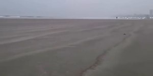 Mar “some” em praia de SP e provoca suspeita de tsunami