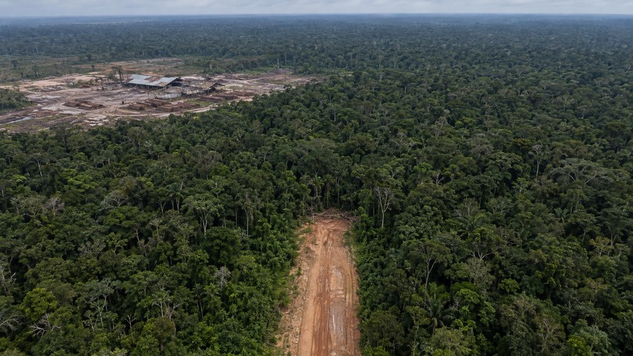 Bilionário sueco-britânico comprou a madeireira Gethal Amazonas por U$ 22 milhões, cerca de R$ 60 milhões à época Bilionário sueco-britânico comprou a madeireira Gethal Amazonas por U$ 22 milhões, cerca de R$ 60 milhões à época