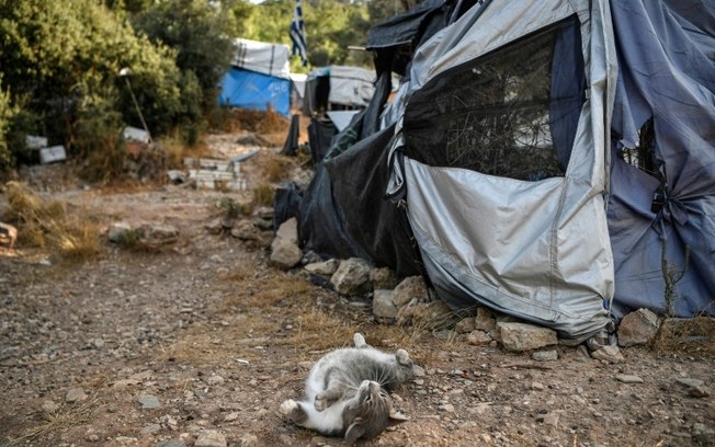 (Arquivo) Um gato brinca em um acampamento abandonado no antigo centro de recepção e identificação de migrantes Vathy, na ilha grega de Samos, em 2021