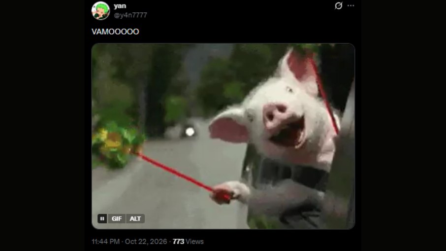 Memes fizeram parte da repercussão palmeirense da queda do Flamengo Memes fizeram parte da repercussão palmeirense da queda do Flamengo