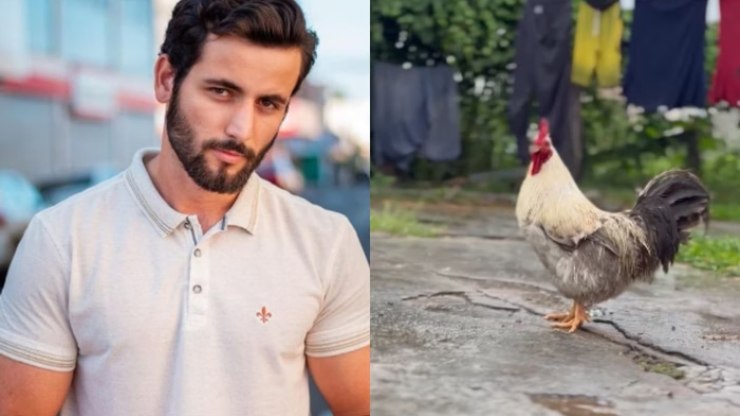 Galo de estimação de ex-BBB é roubado e polícia é acionada para buscas
