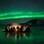 A aurora boreal aparece em 200 dias na regi&atilde;o de Rovaniemi. Foto: Borealis Expedi&ccedil;&otilde;es