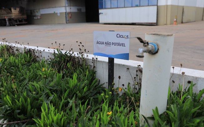 Iniciativa sustentável de MS foi apresentada na COP30