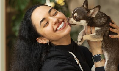 Cães têm um dono preferido? Entenda o vínculo afetivo