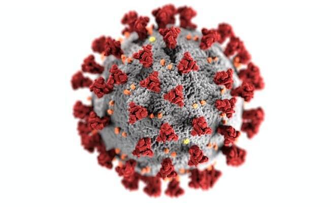Por que a covid-19 pode se tornar endêmica no Brasil, como dengue e gripe