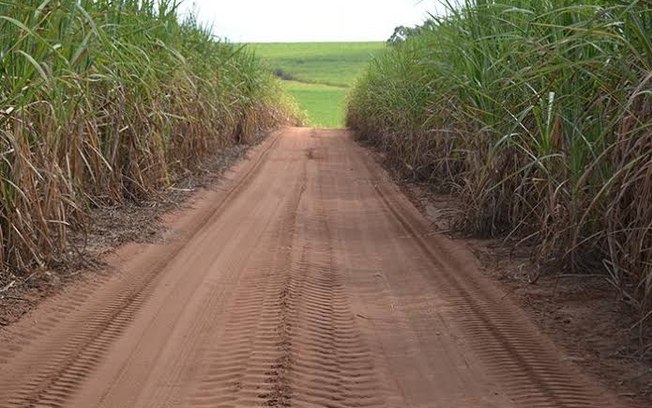 Região Central perde 1.898 empregos formais em novembro