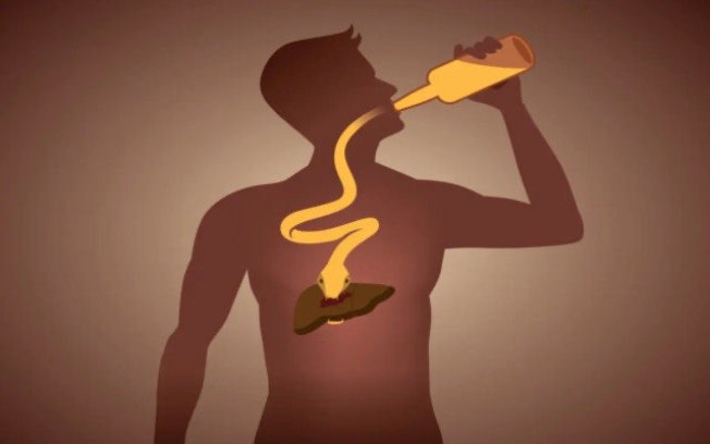 Ao ingerir bebida alcoólica, ele é absorvido e metabolizada pelo fígado, interrompendo a oxidação de gorduras e carboidratos Ao ingerir bebida alcoólica, ele é absorvido e metabolizada pelo fígado, interrompendo a oxidação de gorduras e carboidratos