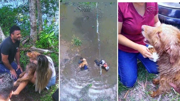 FOTOS: Filhote de gato é resgatado após cair em poço de 7 metros no sul da  Bahia, Bahia