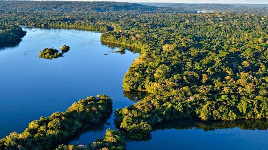A proteção da natureza na Amazônia é tema de interesse mundial A proteção da natureza na Amazônia é tema de interesse mundial