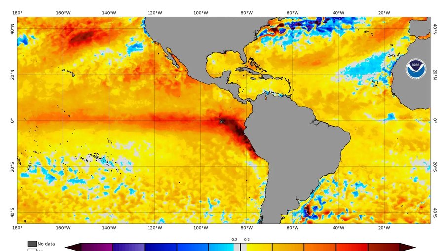 El Niño está instalado no Oceano Pacífico.