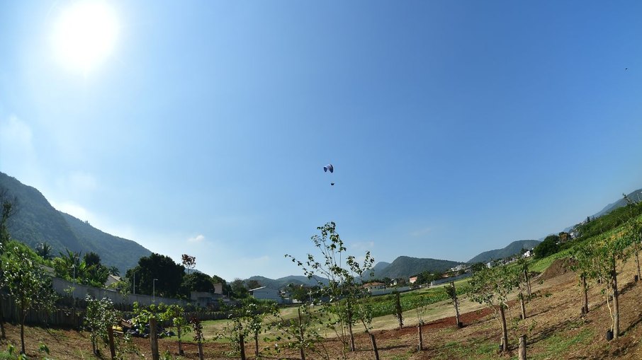 Niterói inicia maior plantio urbano de frutas do Brasil em parque