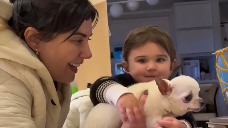 Criança comove internautas ao procurar por cadelinha que morreu