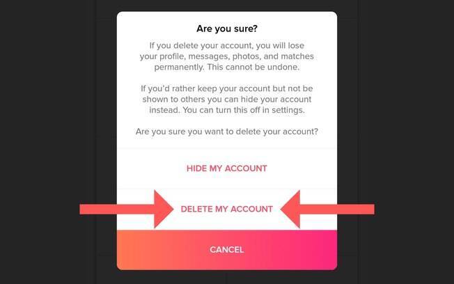 Como apagar o Tinder #7: esta é sua última chance de desistir - se confirmar a exclusão da conta, não tem volta